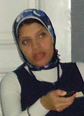 Dina Moustafa Kamel 